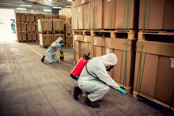 Best Insect Control  in Montague, CA