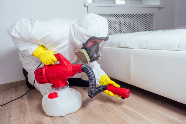 Best Best Pest Control Near Me  in Montague, CA