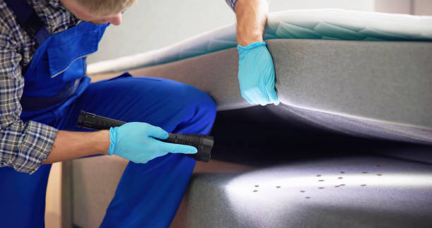 Best Pest Control Near Me  in Montague, CA