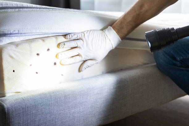 Best Pest Prevention Services  in Montague, CA